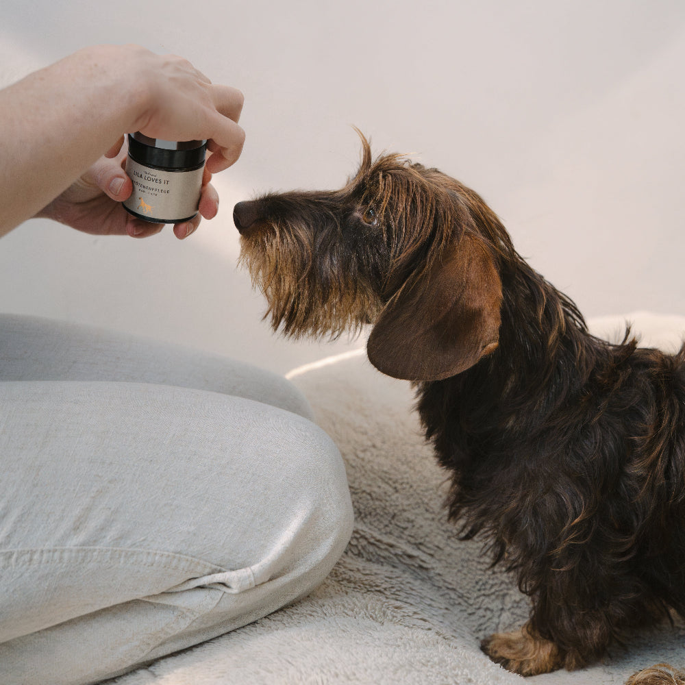 LILA LOVES IT Natural dog paw balm