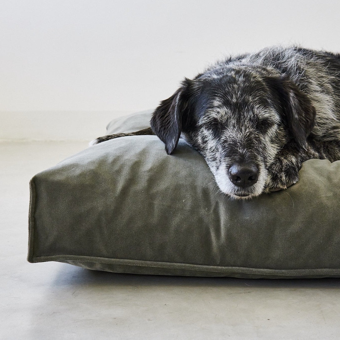Aesthetic MiaCara Dog Cushion Velluto - EasyClean technology Green Sage