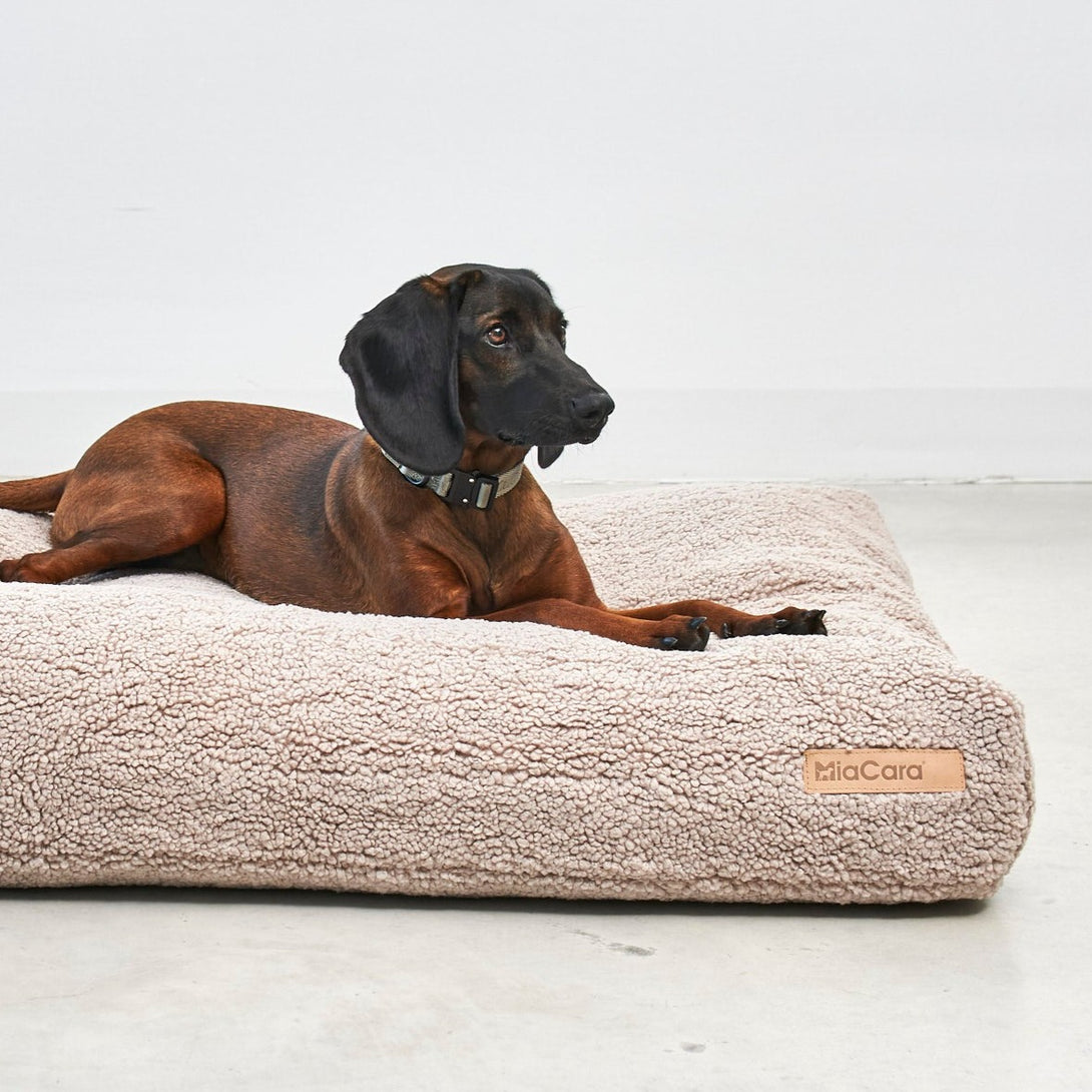 Designer Bouclé Dog Cushion Beige Greige MiaCara Senso
