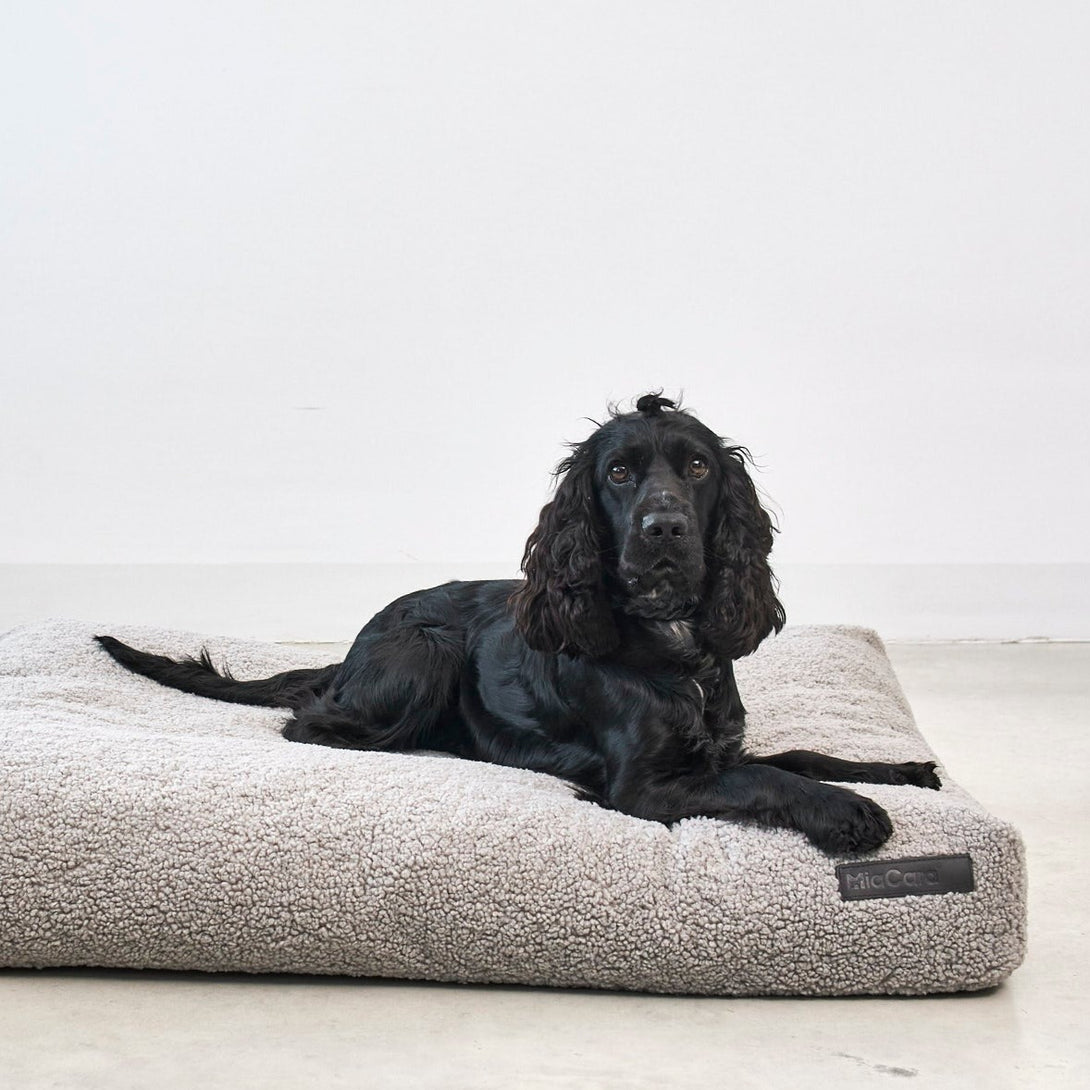 Designer Bouclé Dog Cushion Light Grey MiaCara Senso