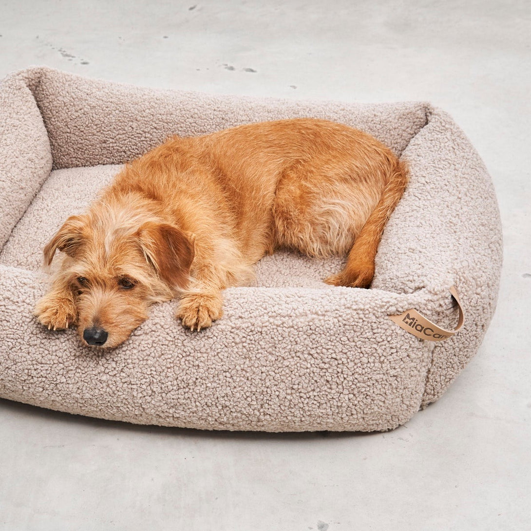 Aesthetic Bouclé Box Dog Bed - Greige Beige - MiaCara