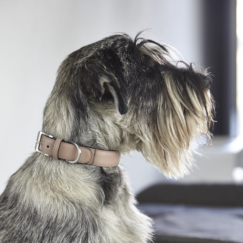 MiaCara Luxury Leather Dog Collar Nude Beige