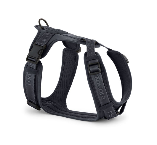 Modena Harness Asphalt Dark Grey by MiaCara