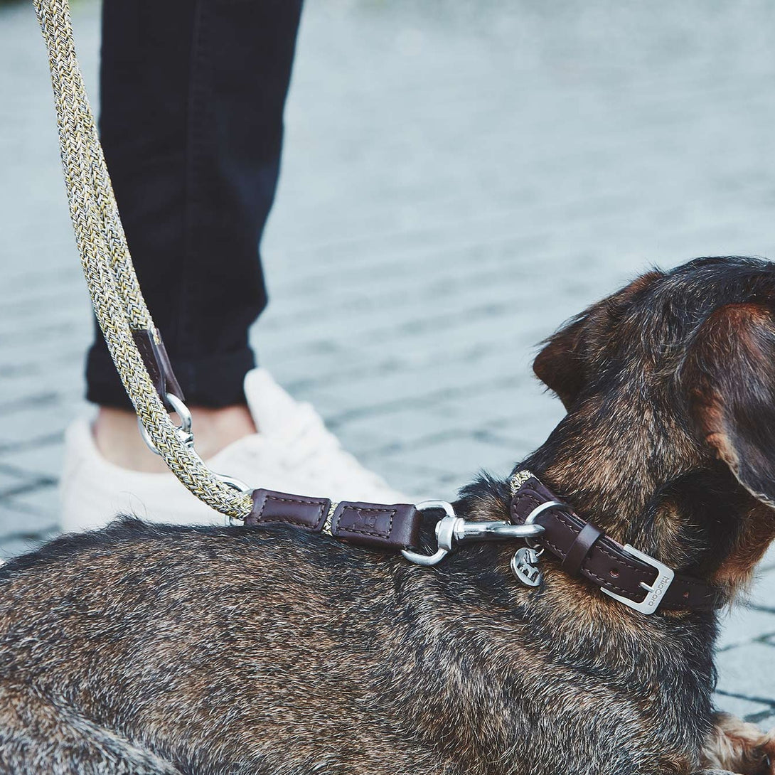 Luxury MiaCara Rope Leather Dog Collar Lucca - Senape Brown