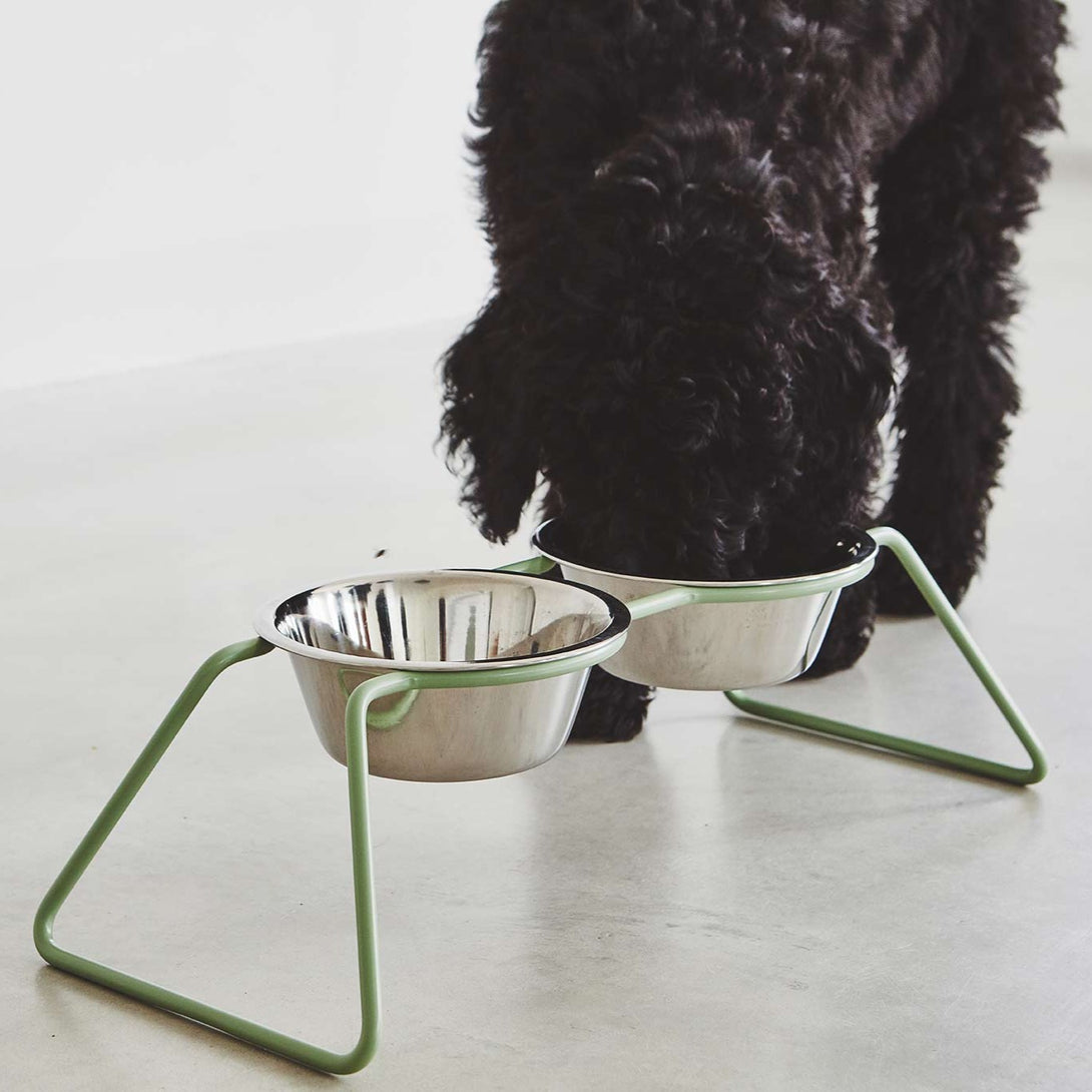 MiaCara Cena Dog Feeder - Stainless Steel Bowls Dusty Green