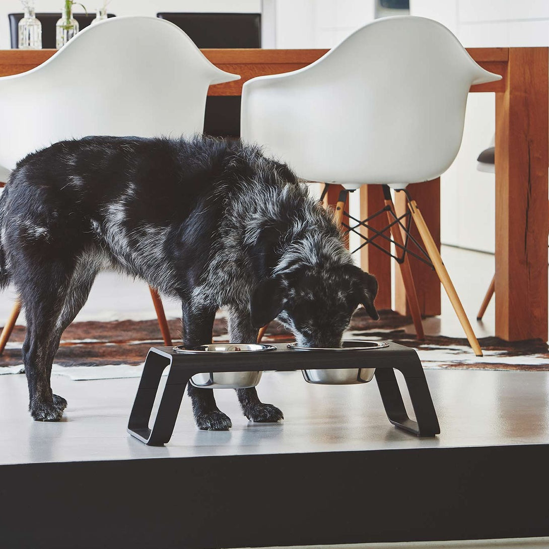 Modern Luxury Natural Desco Dog Feeder - Black Wood - Stainless Steel Bowls by MiaCara