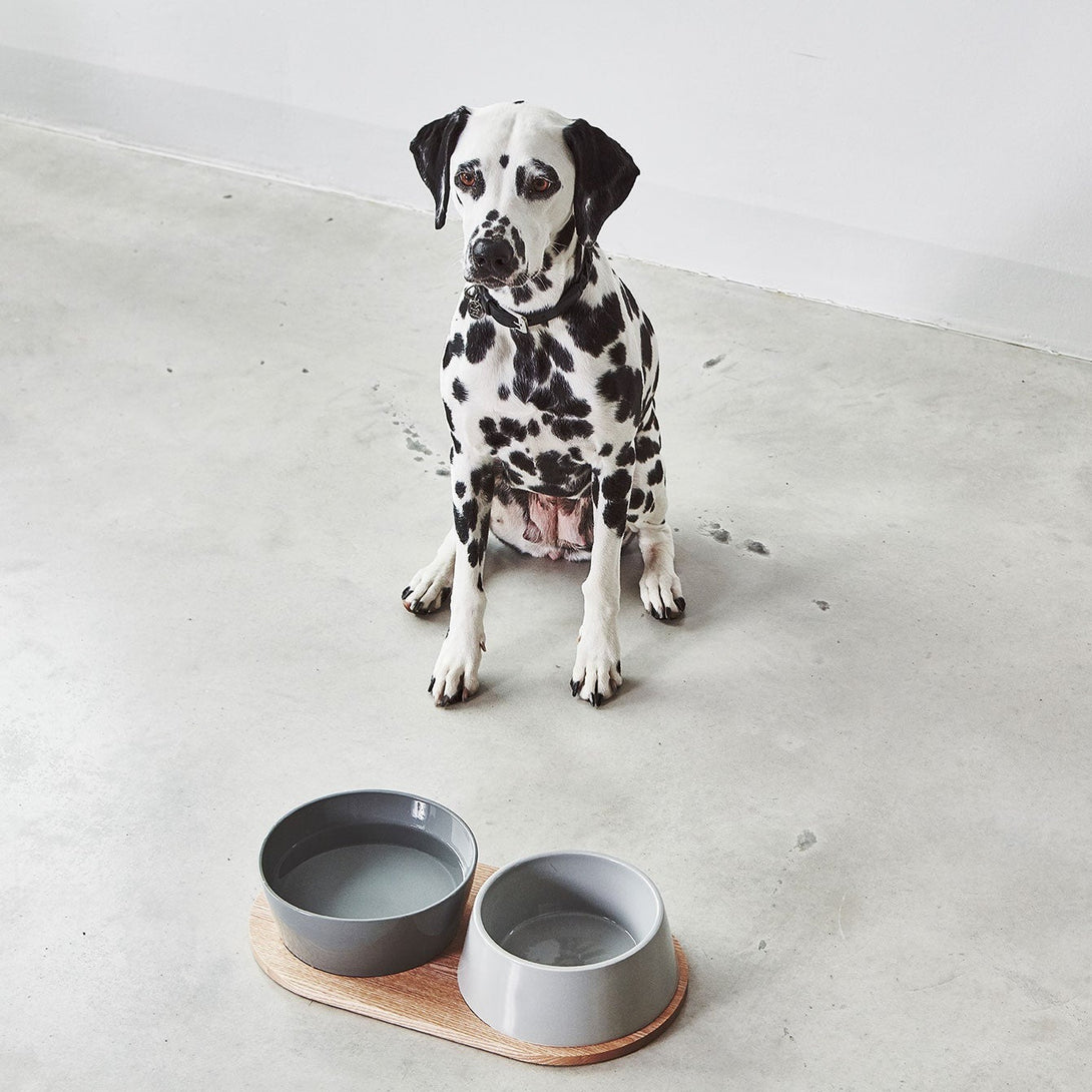 MiaCara Doppio Dog Bowl Set - Wood Tray