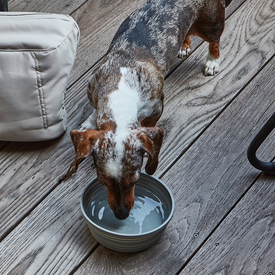 Piega Collapsible Travel Dog Bowl by MiaCara