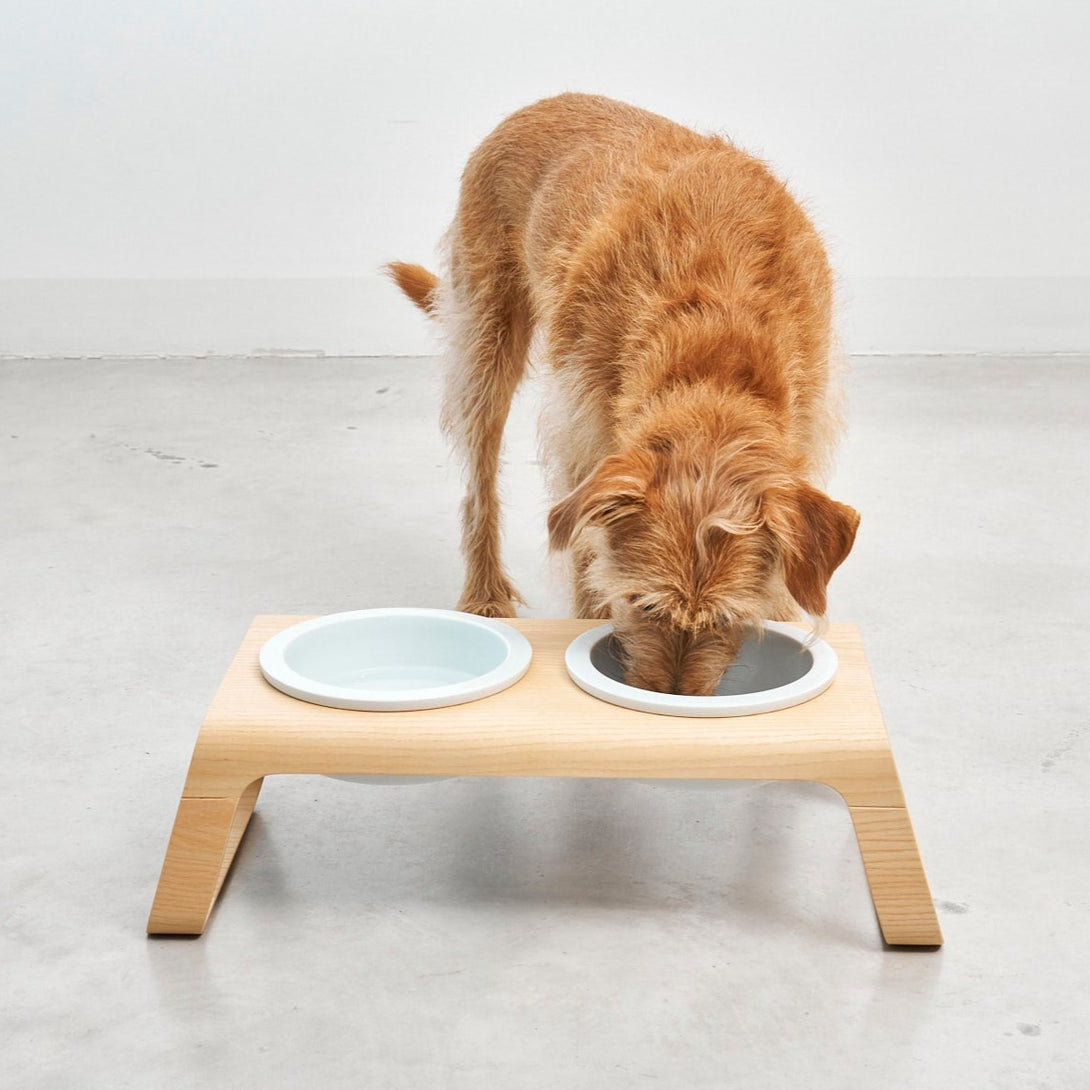 Modern MiaCara Desco Luxury Designer Dog Feeder - Porcelain Bowls - Wood