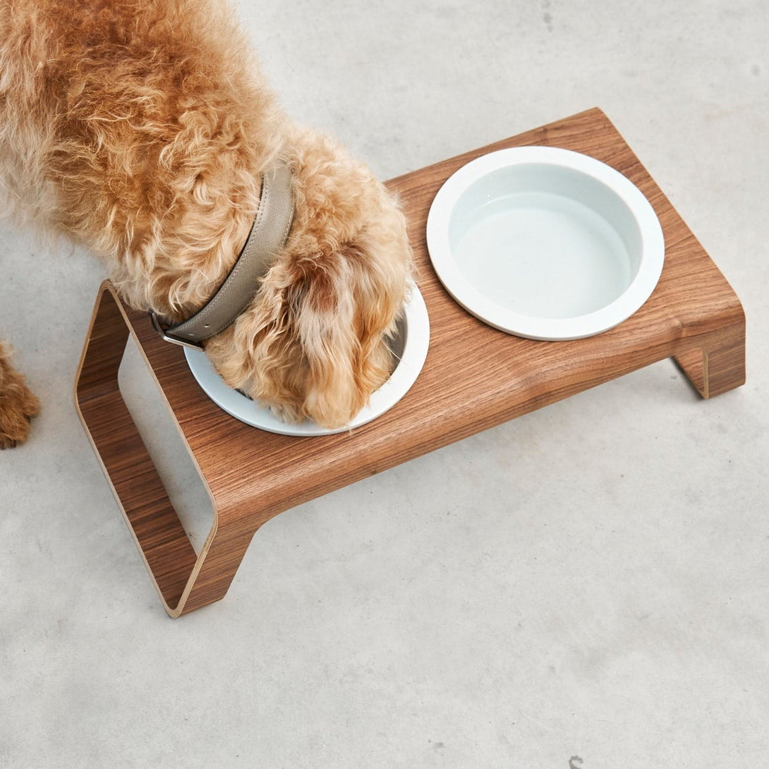 Modern MiaCara Desco Luxury Designer Dog Feeder - Porcelain Bowls - Wood Walnut