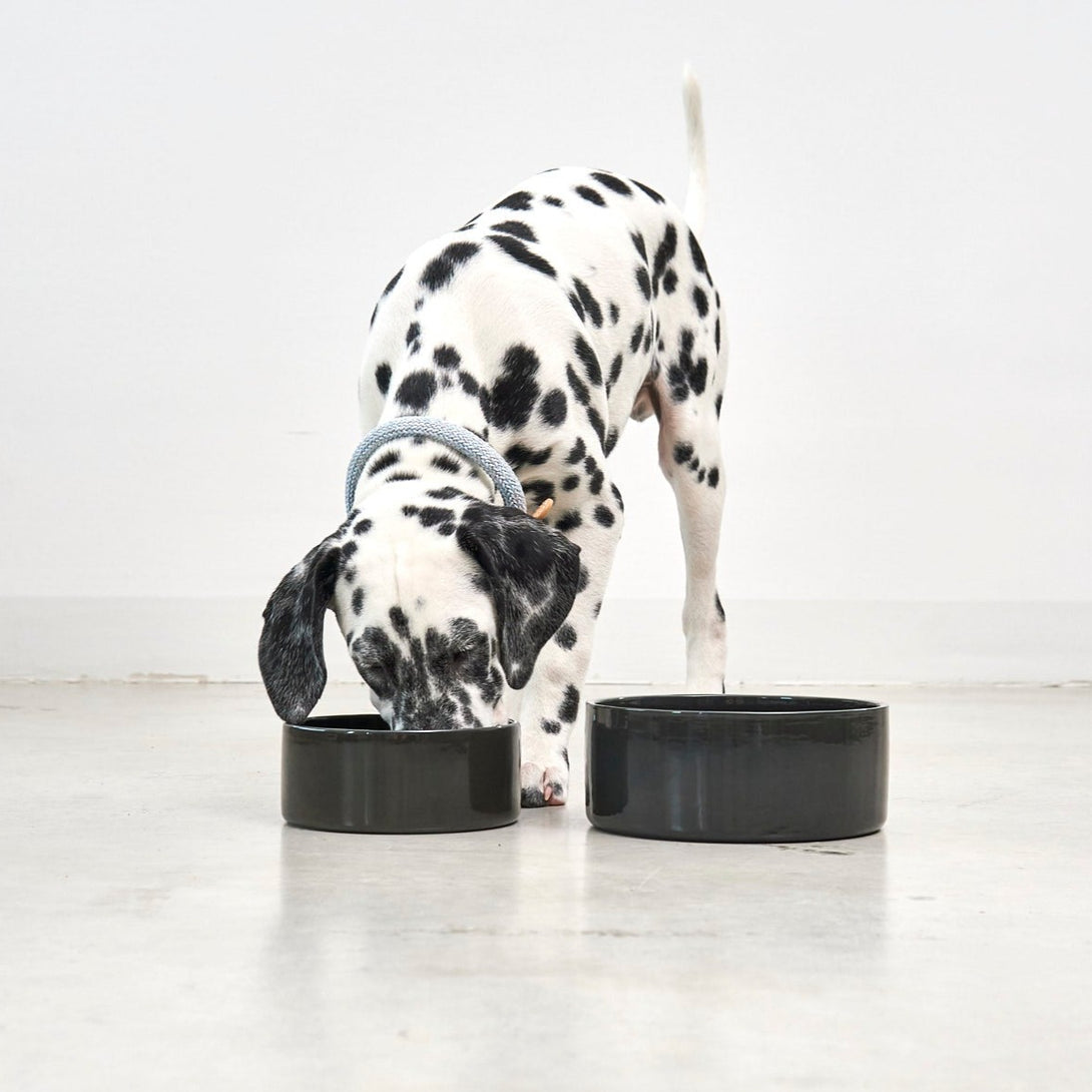 Porcelain Dog Bowl Scodella Graphite by MiaCara