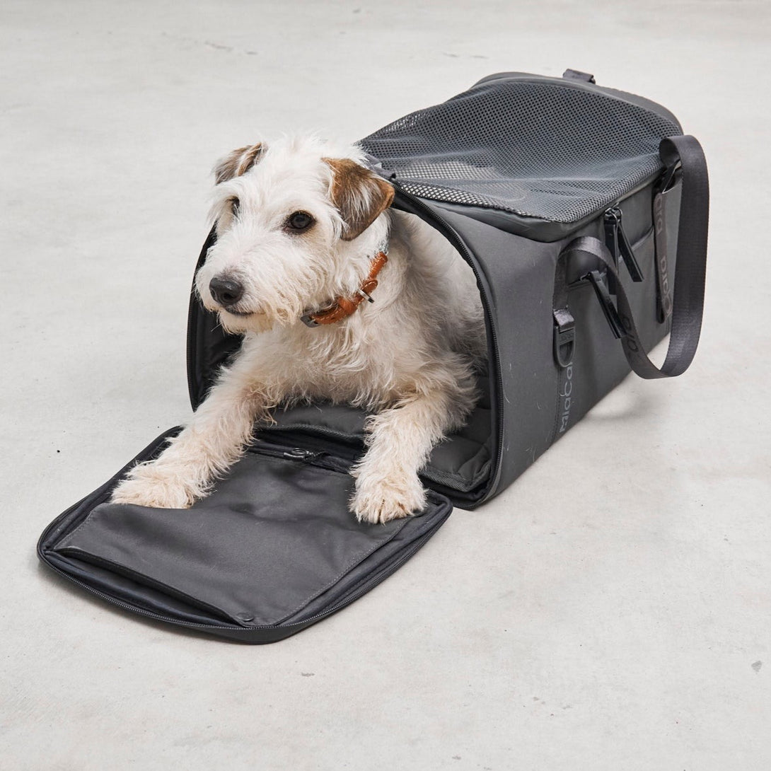Fashionable Designer MiaCara Volata Airline Dog Travel Carrier Anthracite Lightweight