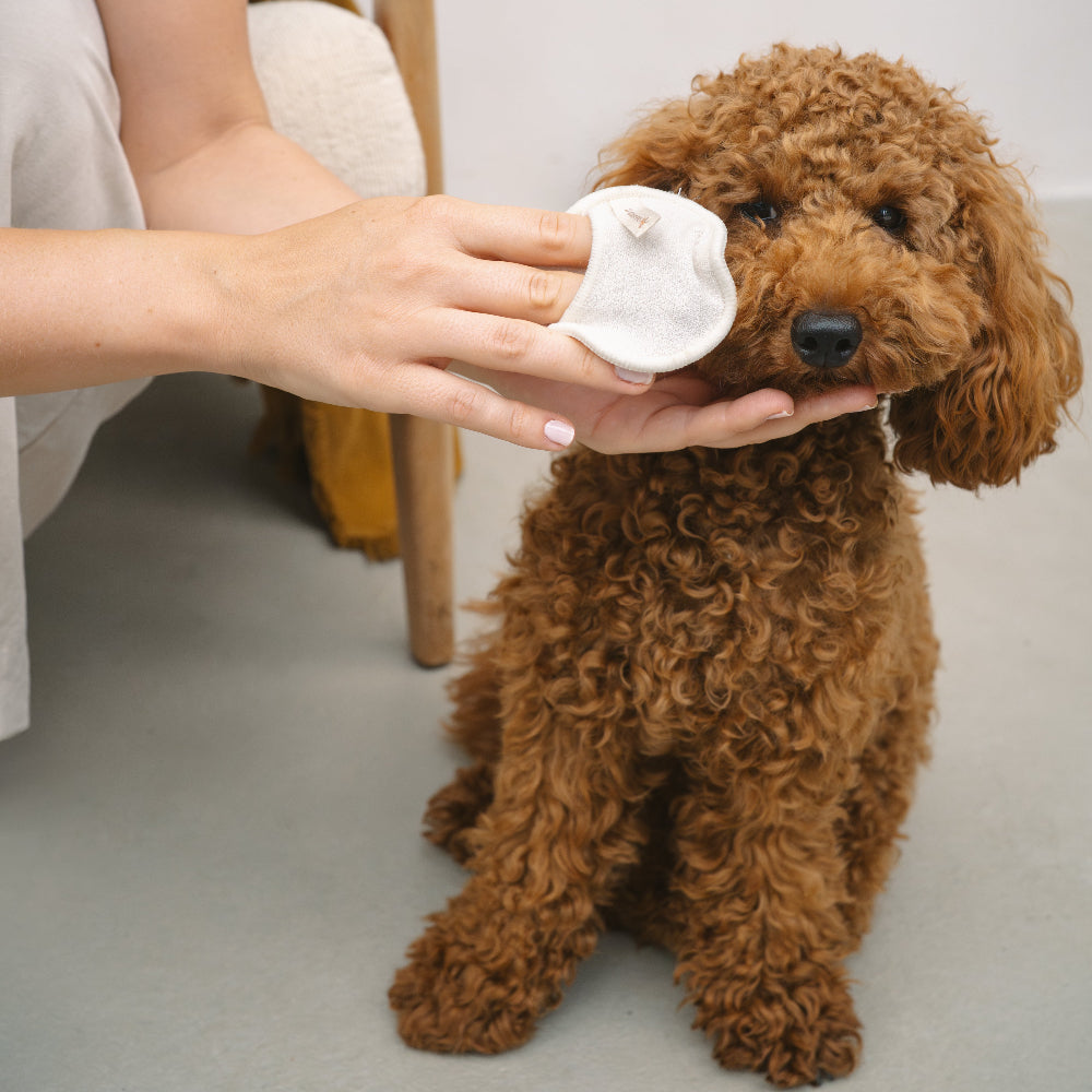 LILA LOVES IT Cleanies - Reusable dog cleaning pads for cleaning eyes