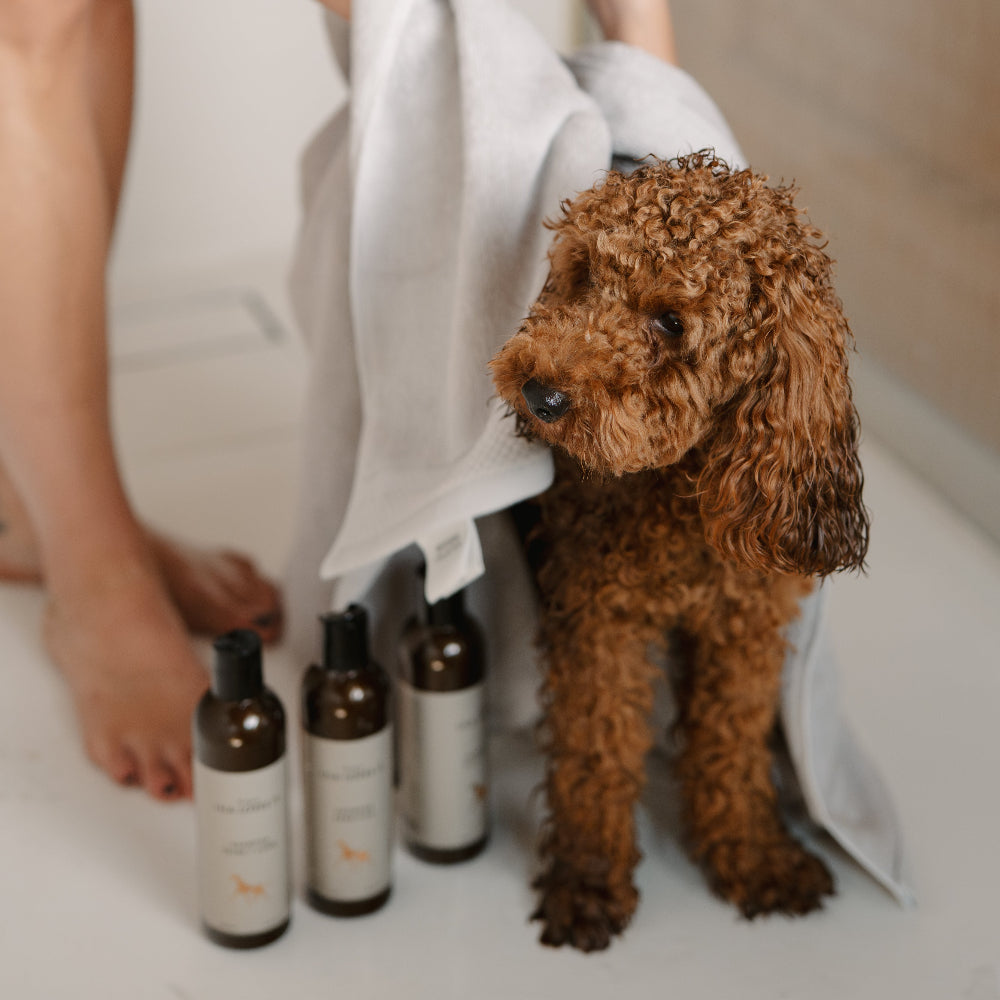LILA LOVES IT Shampoo Shine & Comb - Natural dog bath products for shiny fur