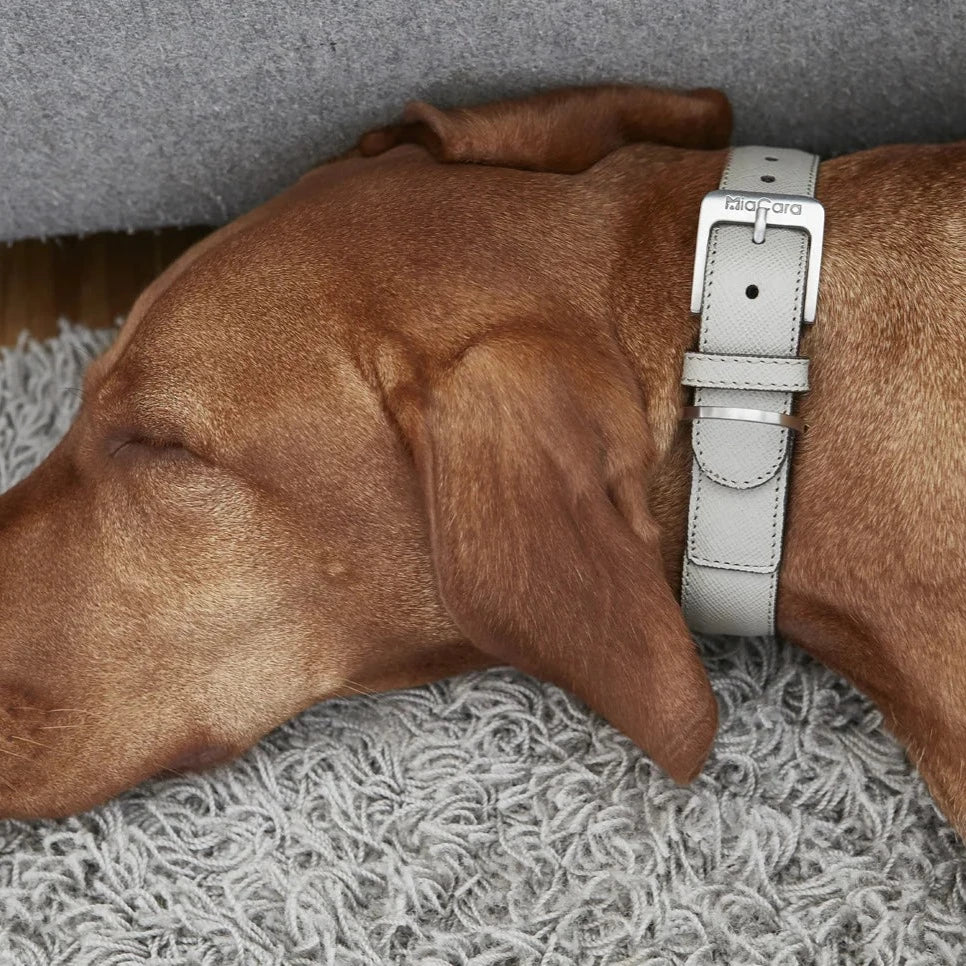 Luxury Leather Dog Collar Taupe by MiaCara