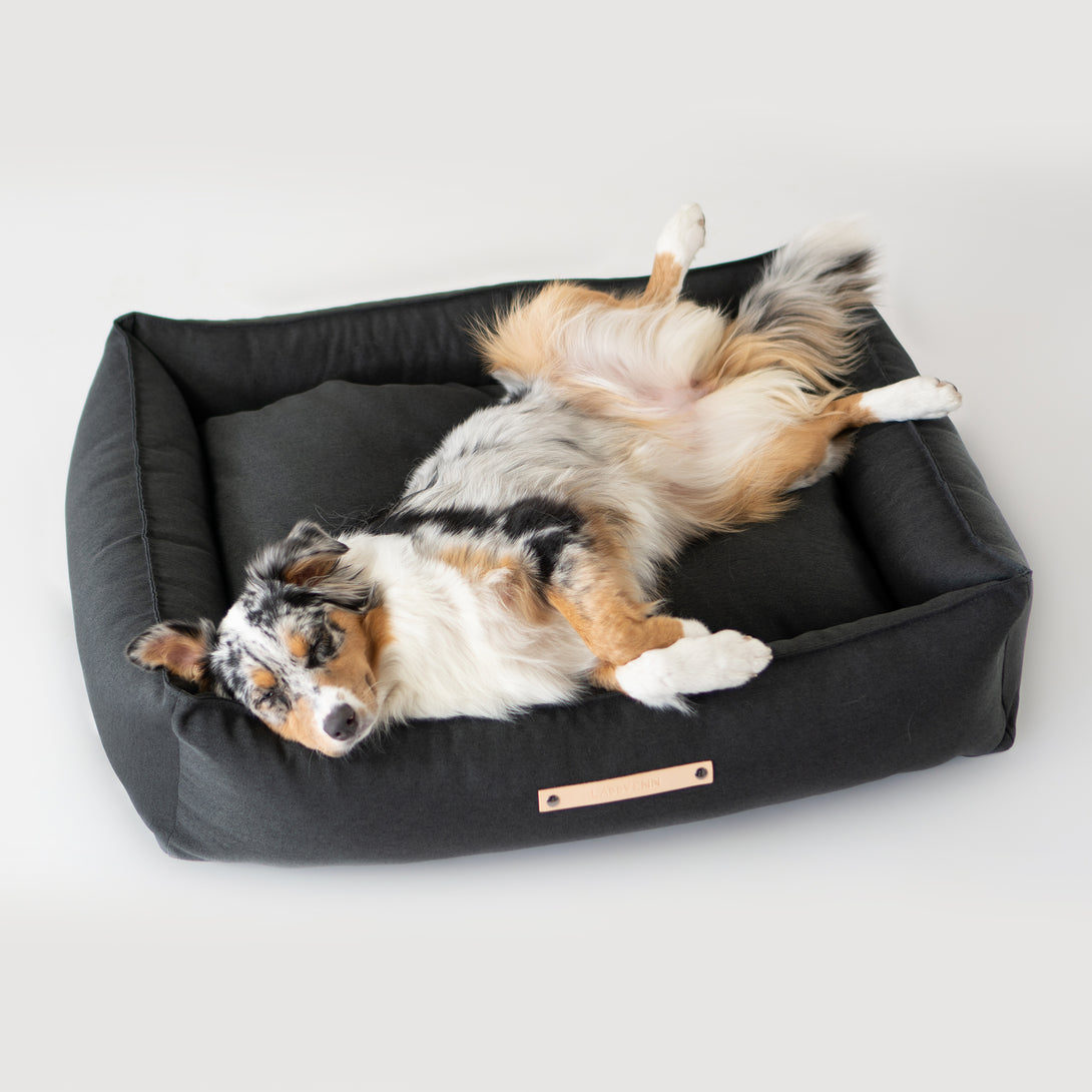 Aesthetic dog bed Labbvenn
