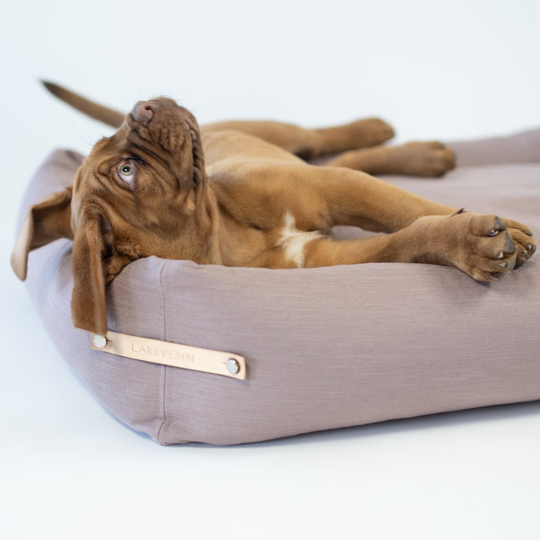 Comfortable dog bed Labbvenn