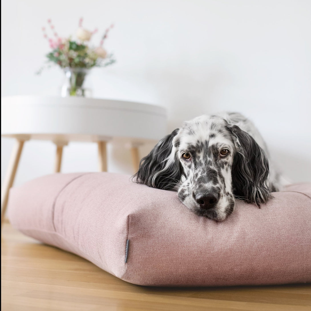 Elegant Finno Dog Cushion Labbvenn Pink