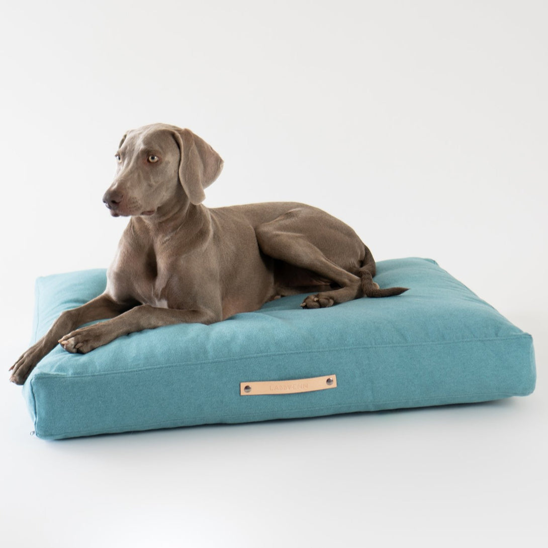 Classic Labbvenn Nordic Dog Cushion Azure