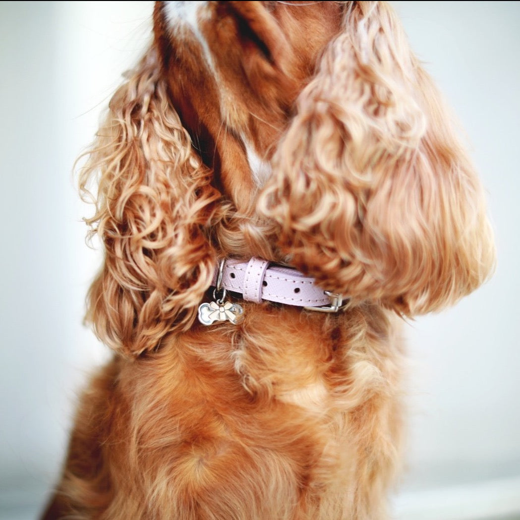 Bone & Home Luxury Leather Dog Collar Pink Blush
