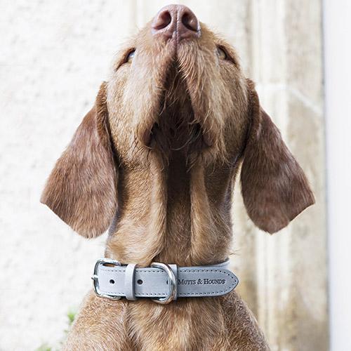 Mutts & Hounds Luxury Classic Leather Dog Collar Grey