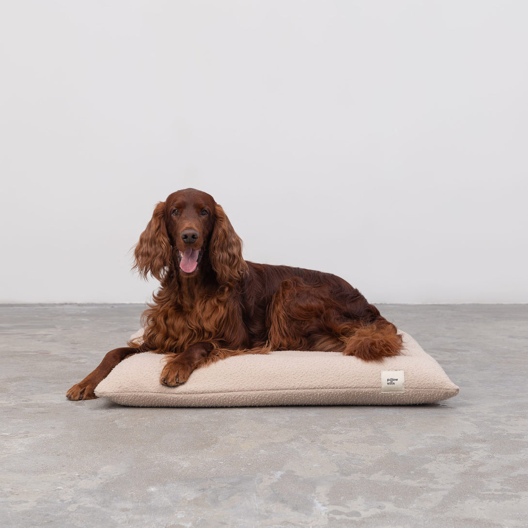 Italian Casentino Wool Dog Bed by Pillow Villa - Beige