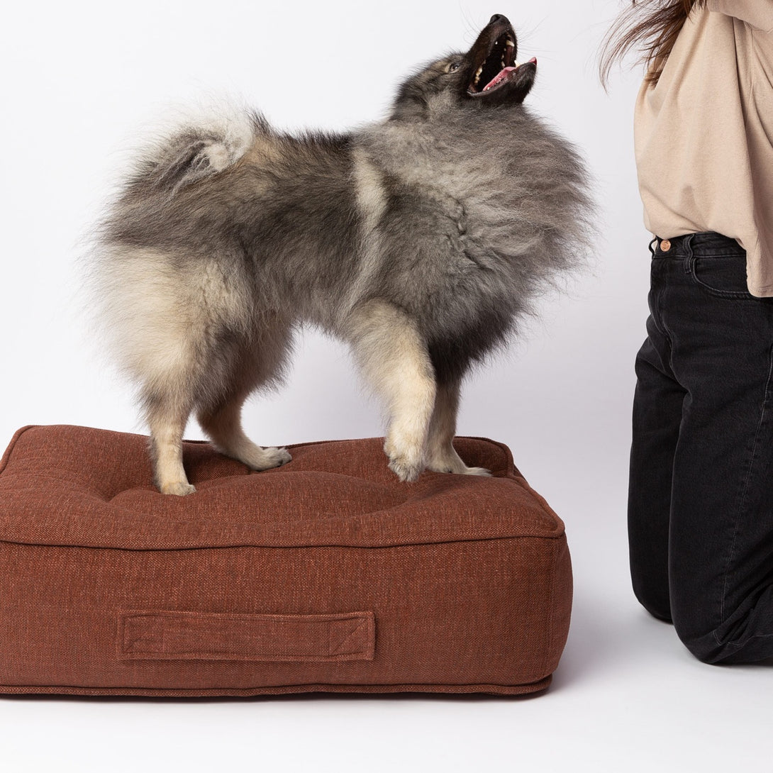 Luxury Designer Dog Bed Brown Brick Rolefin Recycled vegan material