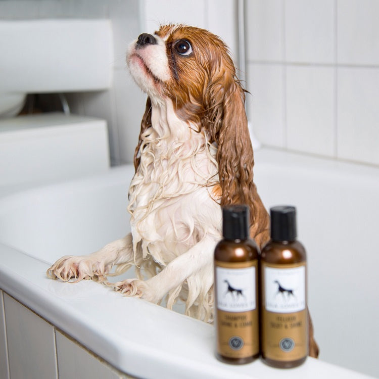 Natural and organic dog conditioner for silky and soft hair